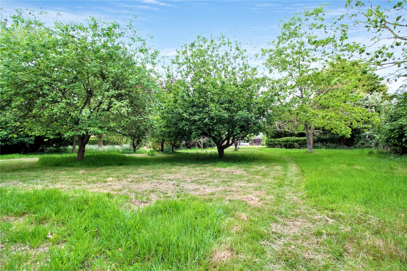 Grounds